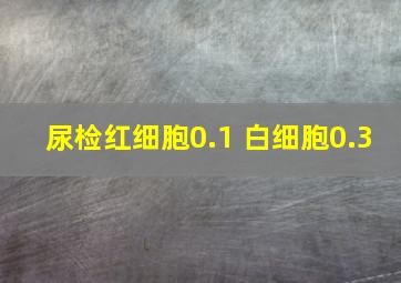 尿检红细胞0.1 白细胞0.3